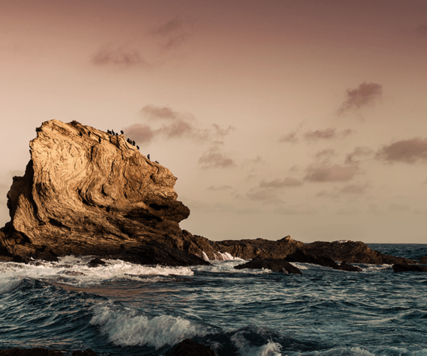 Pieniędzy nigdy dość